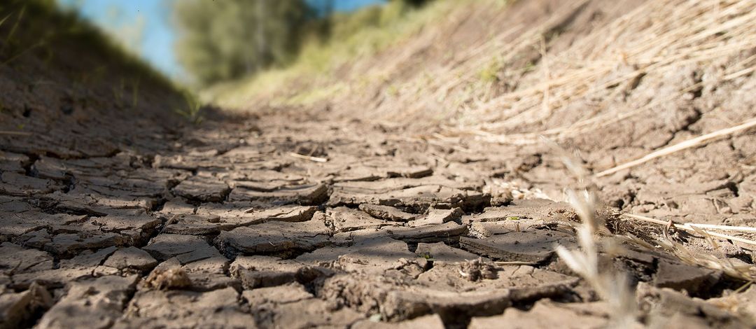 The picture shows a dried-up riverbed. Photo: Colourbox